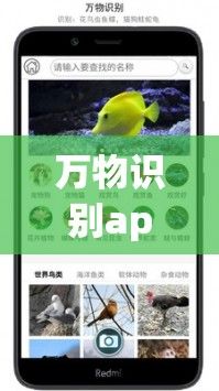 逍遥阁app是真实的吗安全吗下载-逍遥app靠谱吗v6.6.1最新版