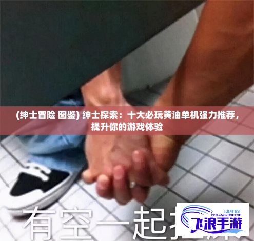 (绅士冒险 图鉴) 绅士探索：十大必玩黄油单机强力推荐，提升你的游戏体验