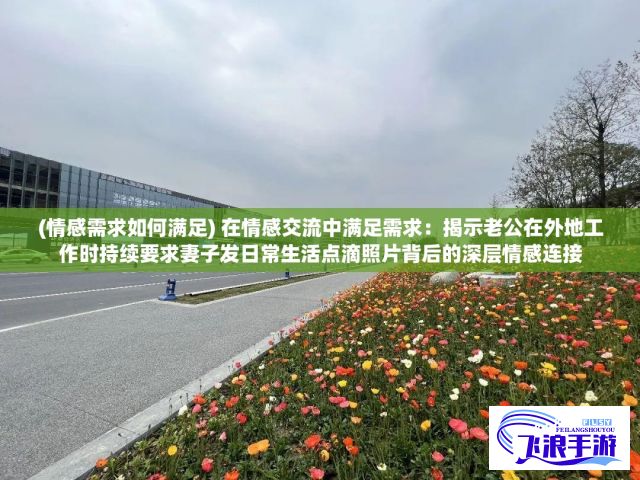 (情感需求如何满足) 在情感交流中满足需求：揭示老公在外地工作时持续要求妻子发日常生活点滴照片背后的深层情感连接