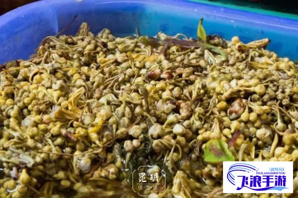 (适合阳台有香味漂亮的花) 阳台C花香袭人，怎样打造温馨卧室C与梦幻厨房的完美过渡空间：探索设计与功能的结合