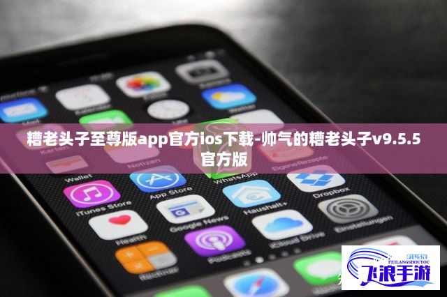 糟老头子至尊版app官方ios下载-帅气的糟老头子v9.5.5官方版