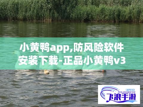 小黄鸭app,防风险软件安装下载-正品小黄鸭v3.0.5官方安卓版