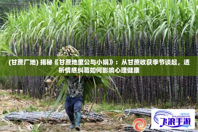 (甘蔗厂地) 揭秘《甘蔗地里公与小娟》：从甘蔗收获季节谈起，透析情感纠葛如何影响心理健康