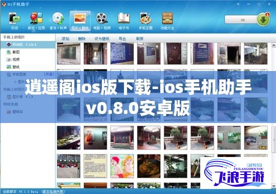 逍遥阁ios版下载-ios手机助手v0.8.0安卓版