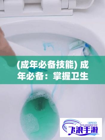 (成年必备技能) 成年必备：掌握卫生纸选购与使用技巧，保障个人卫生与舒适