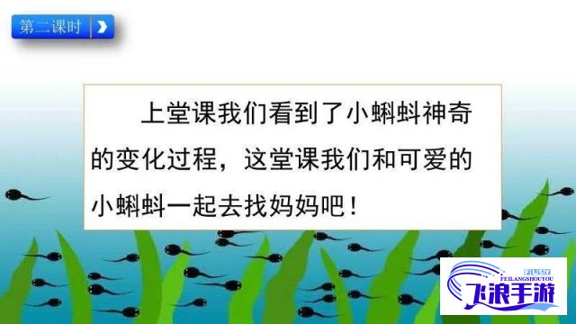 小蝌蚪网站： 了解其主要功能和用户体验优势 | 寻找最佳数字内容平台