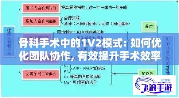 骨科手术中的1V2模式: 如何优化团队协作, 有效提升手术效率和成功率?