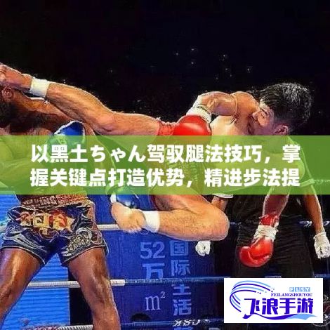 以黑土ちゃん驾驭腿法技巧，掌握关键点打造优势，精进步法提升格斗技能