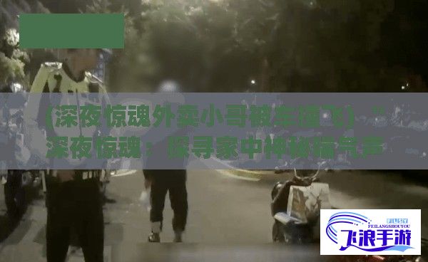 (深夜惊魂外卖小哥被车撞飞) “深夜惊魂：探寻家中神秘喘气声的真相，解析噪音成因及其影响”