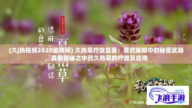 (久j热视频2020最视频) 久热草疗效显著：草药策略中的秘密武器，真相揭秘之中药久热草的疗效及应用