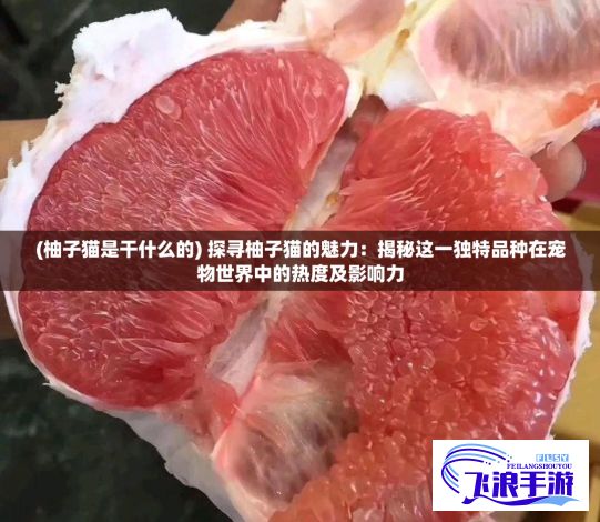 (柚子猫是干什么的) 探寻柚子猫的魅力：揭秘这一独特品种在宠物世界中的热度及影响力