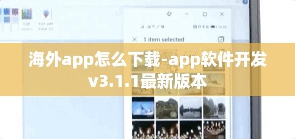 海外app怎么下载-app软件开发v3.1.1最新版本