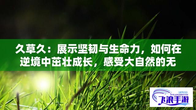 久草久：展示坚韧与生命力，如何在逆境中茁壮成长，感受大自然的无限魅力。