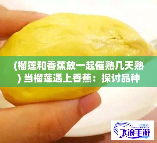 (榴莲和香蕉放一起催熟几天熟) 当榴莲遇上香蕉：探讨品种繁多的苹果和哈密瓜对比，以及水蜜桃在其中的独特风味