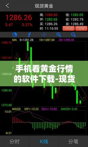 手机看黄金行情的软件下载-现货黄金看盘软件v9.5.5最新版