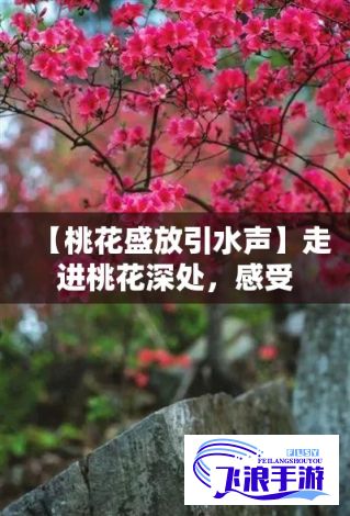 【桃花盛放引水声】走进桃花深处，感受潺潺流水的清新旋律，探索自然与宁静的完美和谐。