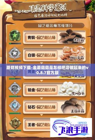 蘑菇视频下载-金蘑菇菇是怎样把店做起来的v0.8.7官方版