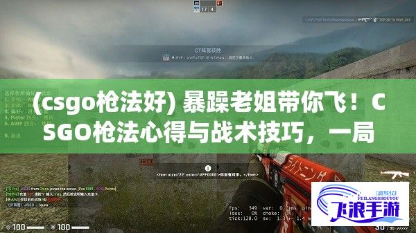 (csgo枪法好) 暴躁老姐带你飞！CSGO枪法心得与战术技巧，一局游戏如何翻盘？