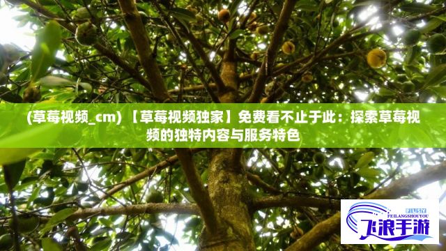 (草莓视频_cm) 【草莓视频独家】免费看不止于此：探索草莓视频的独特内容与服务特色