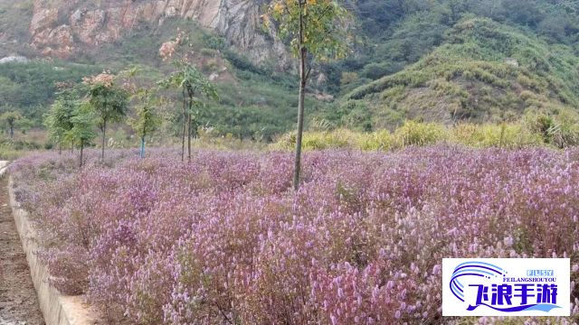 (爱奇艺全部影片) 爱奇艺超全影库推荐：三年片在线完整观影指南，时光穿梭的视听盛宴！探索经典与现代交融的魅力