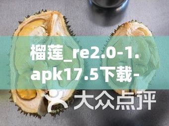 榴莲_re2.0-1.apk17.5下载-re管理器汉化版 apkv9.4.3官方版